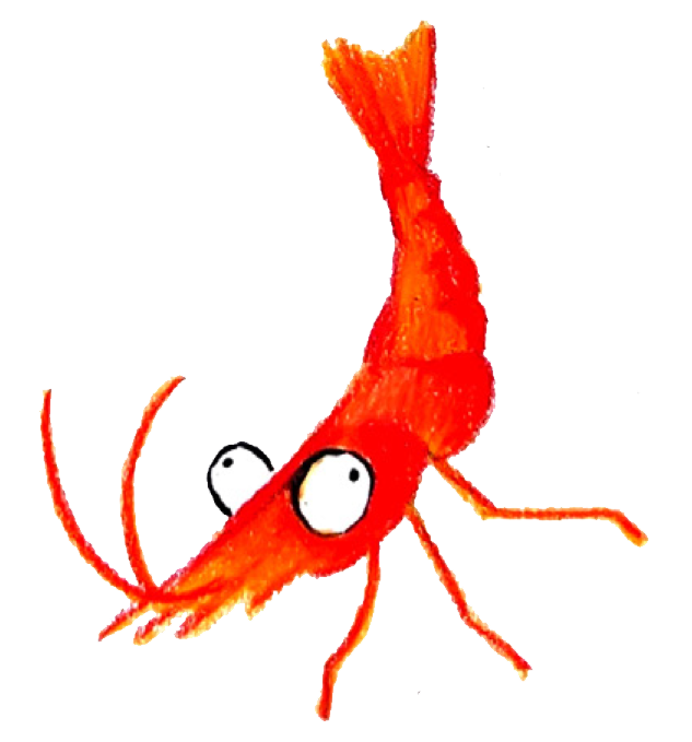 Illustration Eve Sion - Crevette